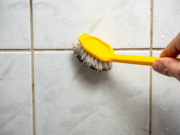 Best Office Mold Removal Services  in Swartz Creek, MI