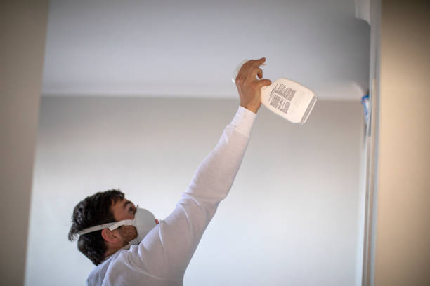 Best Toxic Mold Removal  in Swartz Creek, MI